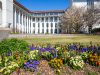 Flowers outside Goizueta