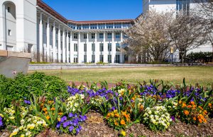 Flowers outside Goizueta