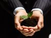 Close up of businessman hands with sprout in palms