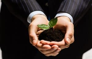 Close up of businessman hands with sprout in palms