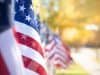 Row of American flags