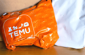 TEMU bag - BBC header image