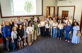Don’t Smash the Watermelon! Teaching the Art of Problem Solving